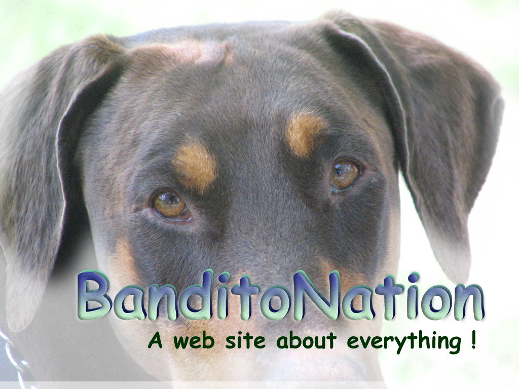 banditonation.com
